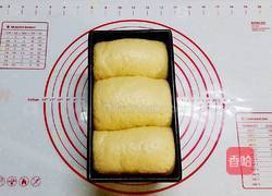 有機糙米土司的做法图解9