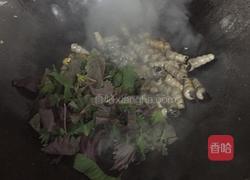 长尾螺焖青头鸭的做法图解4
