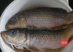 鲤鱼炖豆腐的做法图解1