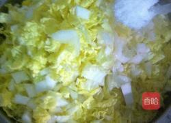 白菜饺子的做法图解3