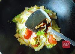 蕃茄炒卷心菜的做法图解5