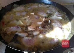 酸菜豆腐鱼的做法图解5