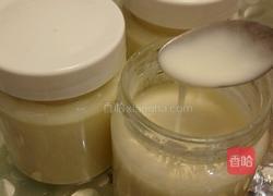 幼儿配方奶粉自制美味酸奶的做法图解3