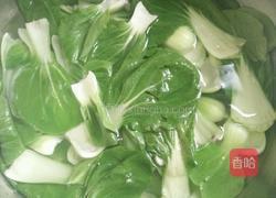 油菜炖豆腐的做法图解4