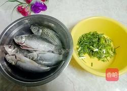 鲫鱼汤的做法图解1