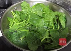 蒜香蚕菜的做法图解5