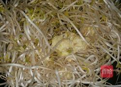 豆芽炒河粉的做法图解5