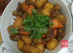 小土豆烧牛肉的做法图解6