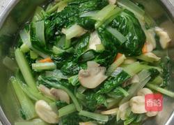 蘑菇炒小白菜的做法图解9
