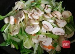 蘑菇炒小白菜的做法图解6