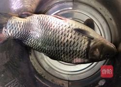红烧鲤鱼的做法图解1