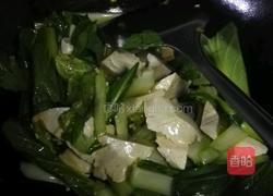 油菜烧豆腐的做法图解6