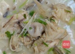 鱼头豆腐金针菇汤的做法图解5