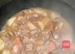红烩土豆烧牛腩的做法图解5