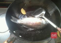 鲫鱼汤的做法图解2