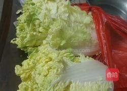 猪肉白菜水饺的做法图解2