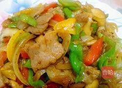 农家小炒肉的做法图解12