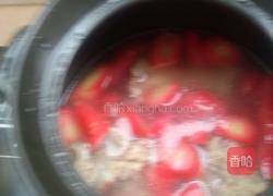童子骨炖胡罗卜的做法图解5