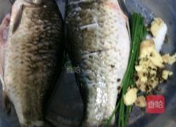 鲜椒鲫鱼的做法图解1