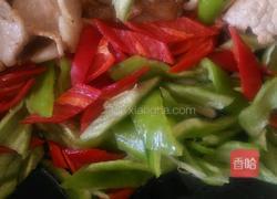 农家小炒肉的做法图解6