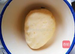 南瓜黄金餐包的做法图解3