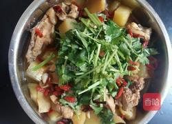 土豆烧鸡的做法图解4