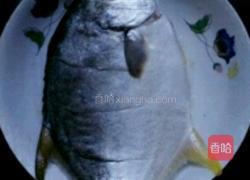 红烧鲳鱼的做法图解1