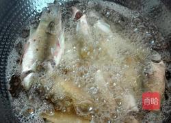 淋炸鲫鱼的做法图解5