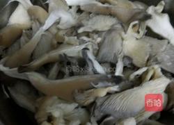平菇炒木耳的做法图解1