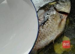 鲫鱼萝卜汤的做法图解7