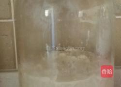 甜酒酿（醪糟）的做法图解6