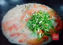 番茄鲫鱼汤的做法图解7