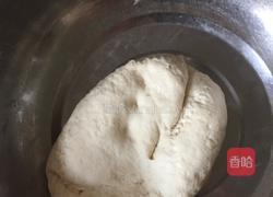 平菇披萨的做法图解2