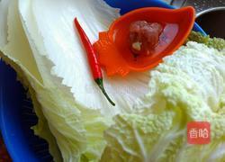 大白菜炒肉丝的做法图解1