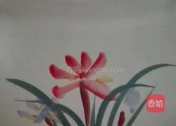 胡萝卜玉米排骨砂锅的做法图解11