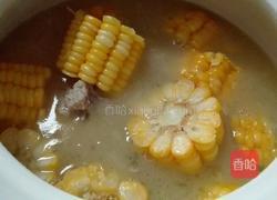 胡萝卜玉米排骨砂锅的做法图解14