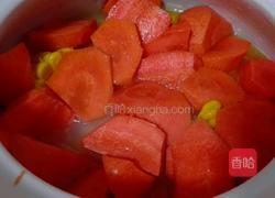 胡萝卜玉米排骨砂锅的做法图解15