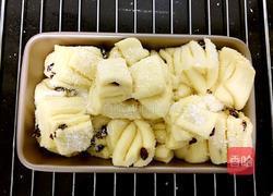 蔓越莓椰蓉手撕面包的做法图解17