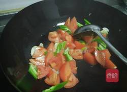 番茄炒蛋的做法图解9