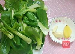 清炒勺菜的做法图解1