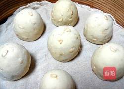 红薯燕麦馒头的做法图解11
