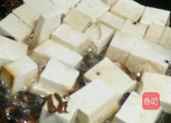 青菜炖豆腐的做法图解5