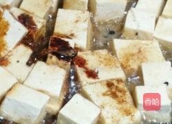 青菜炖豆腐的做法图解6