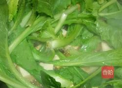 青菜炖豆腐的做法图解8