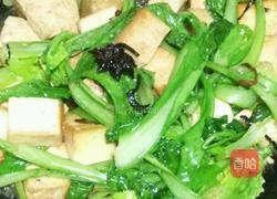 青菜炖豆腐的做法图解9