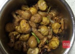 板栗红烧肉的做法图解7