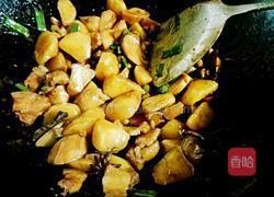 杏鲍菇焖土豆的做法图解9