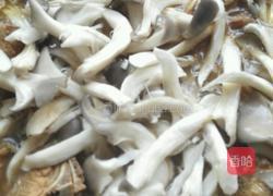 排骨炖冬瓜的做法图解6