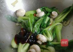 白菜耗蘑菇的做法图解6