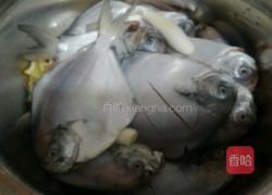红烧鲳鱼的做法图解1